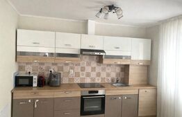 Casă complet mobilată și utilată, 3 dormitoare, 111 mp, zona Bercu Rosu