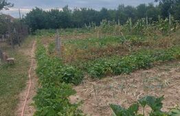  Cabană cu teren de 18 ari, zona Viile Satu Mare