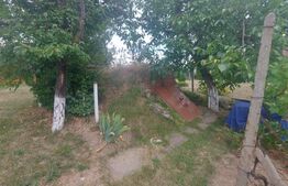  Cabană cu teren de 18 ari, zona Viile Satu Mare