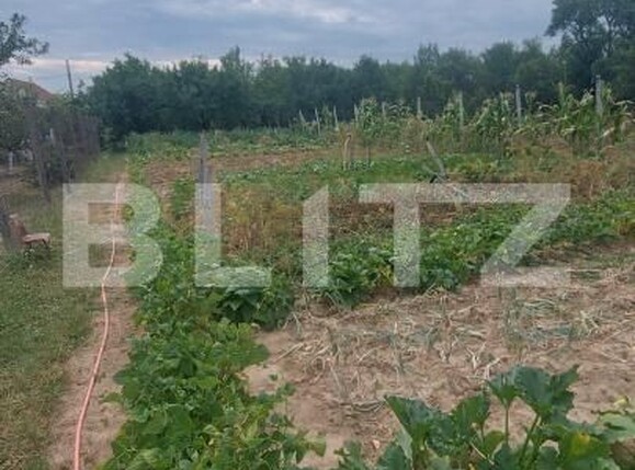 Casa de vânzare 2 camere Viile Satu Mare - 200315CV | BLITZ Satu Mare | Poza6