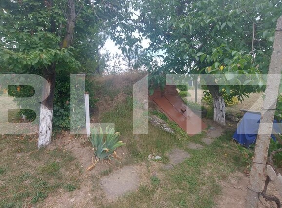 Casa de vânzare 2 camere Viile Satu Mare - 200315CV | BLITZ Satu Mare | Poza8