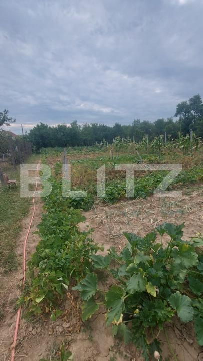 Casa de vânzare 2 camere Viile Satu Mare - 200315CV | BLITZ Satu Mare | Poza6