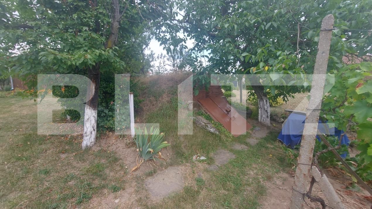 Casa de vânzare 2 camere Viile Satu Mare - 200315CV | BLITZ Satu Mare | Poza8