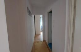 Apartament cu 3 camere, 65mp, zona Careiului