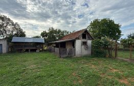 Casă P+1E, 180 mp, teren de 12 ari, anexă locuibilă și garaj, zona Cărășeu 