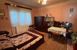 Casă P+1E, 180 mp, teren de 12 ari, anexă locuibilă și garaj, zona Cărășeu 