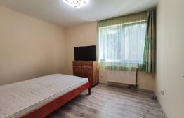 Apartament cu 2 camere, 55 mp, pet Friendly, zona Centrala