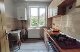Apartament cu 2 camere, 55 mp, pet Friendly, zona Centrala
