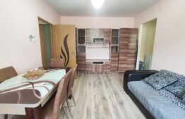 Apartament cu 2 camere, 55 mp, pet Friendly, zona Centrala