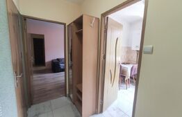Apartament cu 2 camere, 55 mp, pet Friendly, zona Centrala