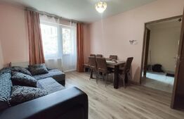 Apartament cu 2 camere, 55 mp, pet Friendly, zona Centrala
