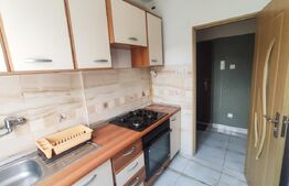 Apartament cu 2 camere, 55 mp, pet Friendly, zona Centrala