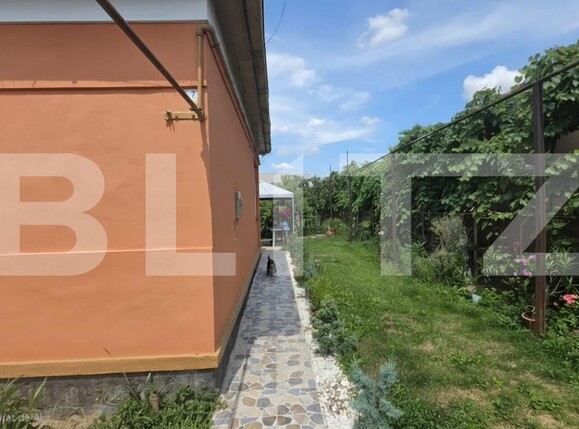 Casa de vânzare 3 camere Bercu Rosu - 200846CV | BLITZ Satu Mare | Poza13