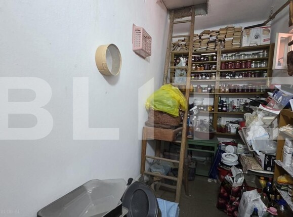 Casa de vânzare 3 camere Bercu Rosu - 200846CV | BLITZ Satu Mare | Poza10