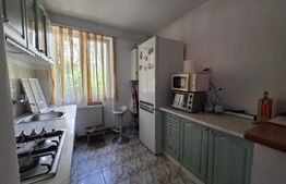 Apartament de vânzare, 48.80 mp, zona Botizului 