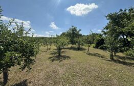 Casă de vânzare, 121 mp, teren și livadă 2.878 mp, localitatea Apa