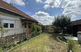 Casă de vânzare, 121 mp, teren și livadă 2.878 mp, localitatea Apa
