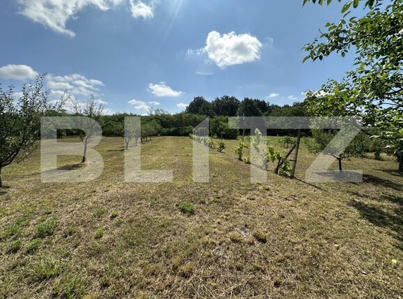 Casa de vânzare 2 camere Apa - 201309CV | BLITZ Satu Mare | Poza19