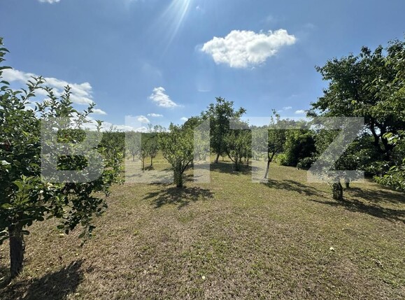 Casa de vânzare 2 camere Apa - 201309CV | BLITZ Satu Mare | Poza20