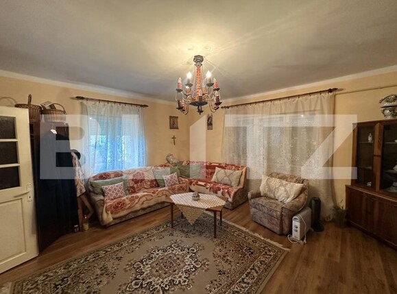 Casa de vânzare 2 camere Exterior Nord - 201309CV | BLITZ Satu Mare | Poza12