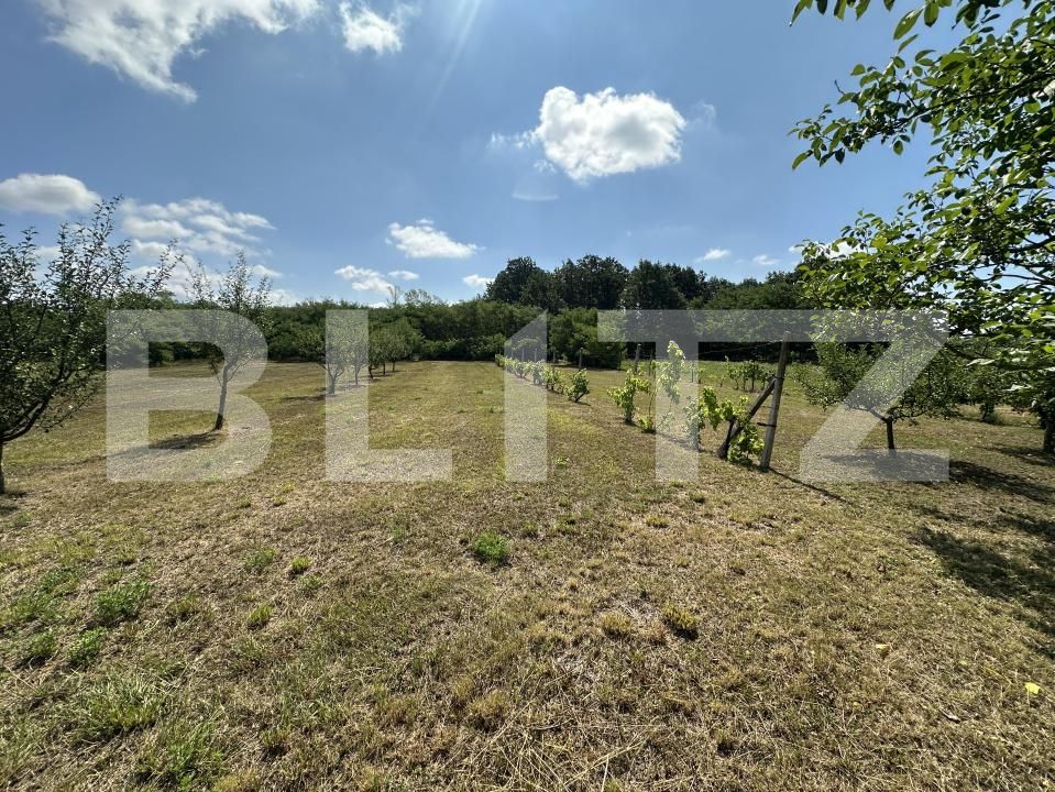 Casa de vânzare 2 camere Exterior Nord - 201309CV | BLITZ Satu Mare | Poza19
