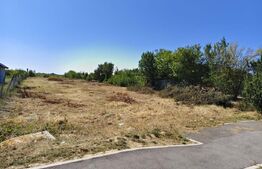 Teren extravilan de vanzare, 2576 mp, zona Careiului