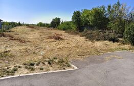 Teren extravilan de vanzare, 2576 mp, zona Careiului
