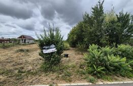 Teren extravilan de vanzare, 2576 mp, zona Careiului