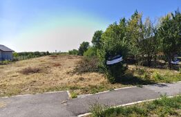 Teren extravilan de vanzare, 2576 mp, zona Careiului