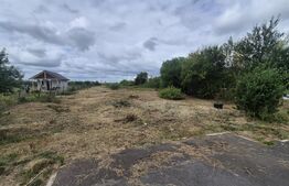 Teren extravilan de vanzare, 2576 mp, zona Careiului