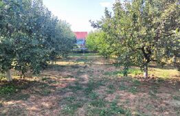 Casa de vanzare, 158 mp, zona Vetis