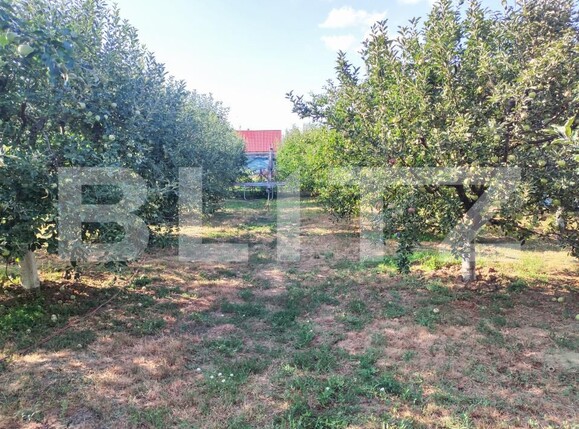 Casa de vânzare 4 camere Vetiş - 201476CV | BLITZ Satu Mare | Poza25