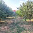 Casa de vânzare 4 camere Vetiş - 201476CV - Poza 1 din 25 | BLITZ Satu Mare | Poza24