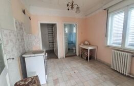 Casa de vanzare, 176 mp, 11 ari teren, Gheorghe Baritiu