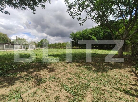 Casa de vânzare 4 camere Est - 201477CV | BLITZ Satu Mare | Poza24