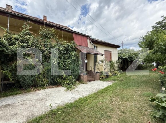 Casa de vânzare 3 camere Titulescu - 201651CV | BLITZ Satu Mare | Poza13