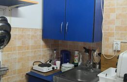 Garsoniera la casa cu curte si terasa in zona Centrala