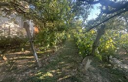 Casă de vânzare 77mp utili, teren 10 ari , zona Viile Satu Mare