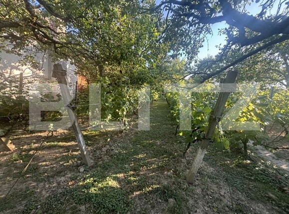 Casa de vânzare 2 camere Viile Satu Mare - 201942CV | BLITZ Satu Mare | Poza12