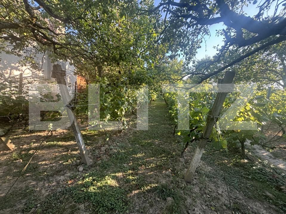Casa de vânzare 2 camere Viile Satu Mare - 201942CV | BLITZ Satu Mare | Poza12
