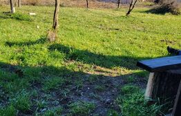 Teren intravilan, 881 mp, zona Cionchești