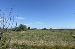Teren extravilan, 6200 mp, zona Cionchesti 