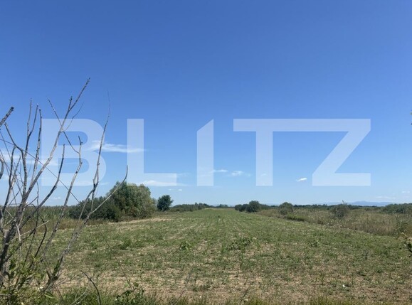 Teren de vânzare Cionchesti - 202256TV | BLITZ Satu Mare | Poza1