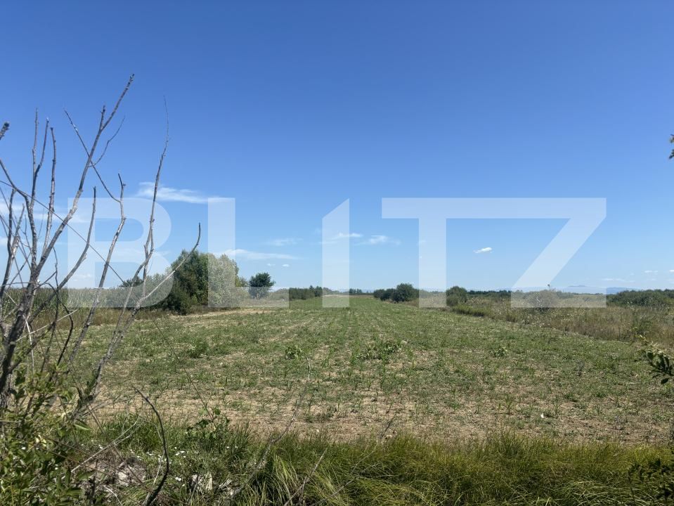 Teren de vânzare Cionchesti - 202256TV | BLITZ Satu Mare | Poza2