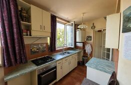 Casă de vânzare, 260 mp, teren 2.036 mp, zona Bercu Roșu 