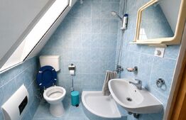 Casă de vânzare, 260 mp, teren 2.036 mp, zona Bercu Roșu 