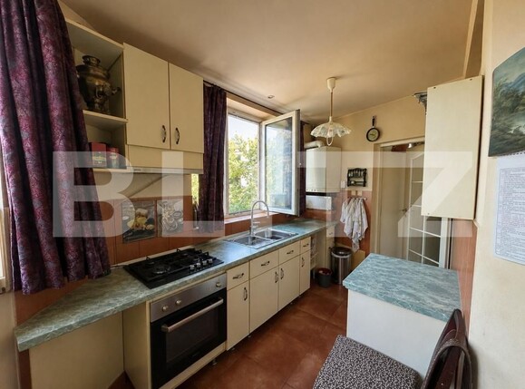Casa de vânzare 6 camere Bercu Rosu - 202385CV | BLITZ Satu Mare | Poza9