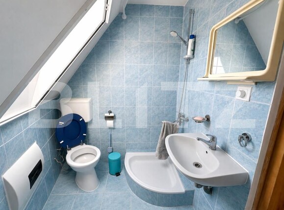 Casa de vânzare 6 camere Bercu Rosu - 202385CV | BLITZ Satu Mare | Poza11