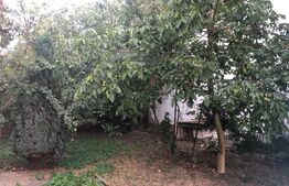 Casa de vanzare, 125 mp, teren 900 mp, zona 14 Mai