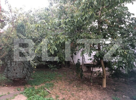 Casa de vânzare 3 camere 14 Mai - 202493CV | BLITZ Satu Mare | Poza13